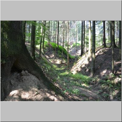 Waldlehrpfad-2019-009.JPG