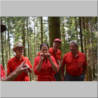 Waldlehrpfad-2019-013.JPG
